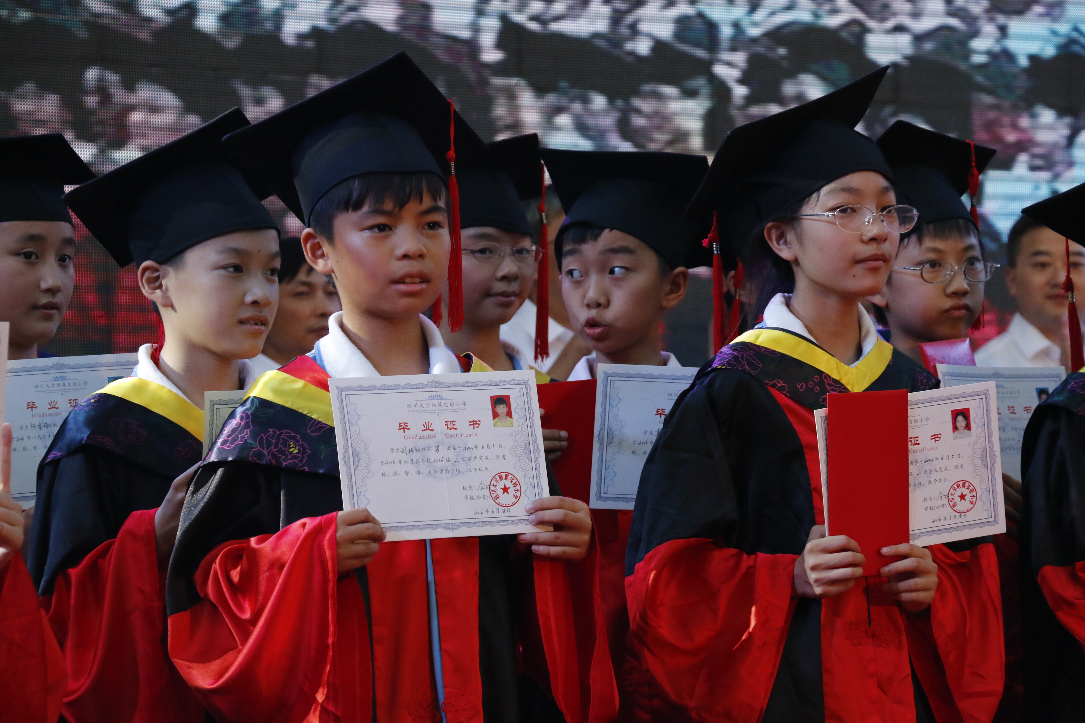 四川大学学历证书 四川大学学历证书