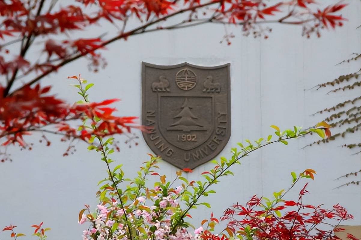 南京大学学历证书图片 南京大学学历证书图片