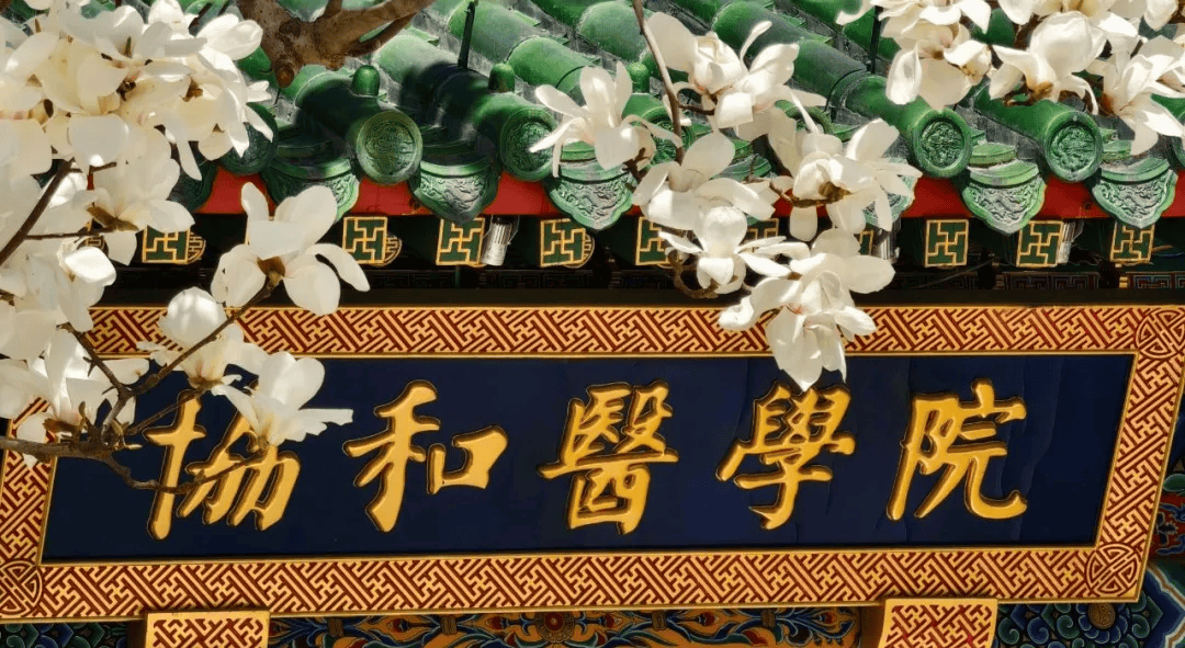 北京协和医学院要读多少年 北京协和医学院要读多少年