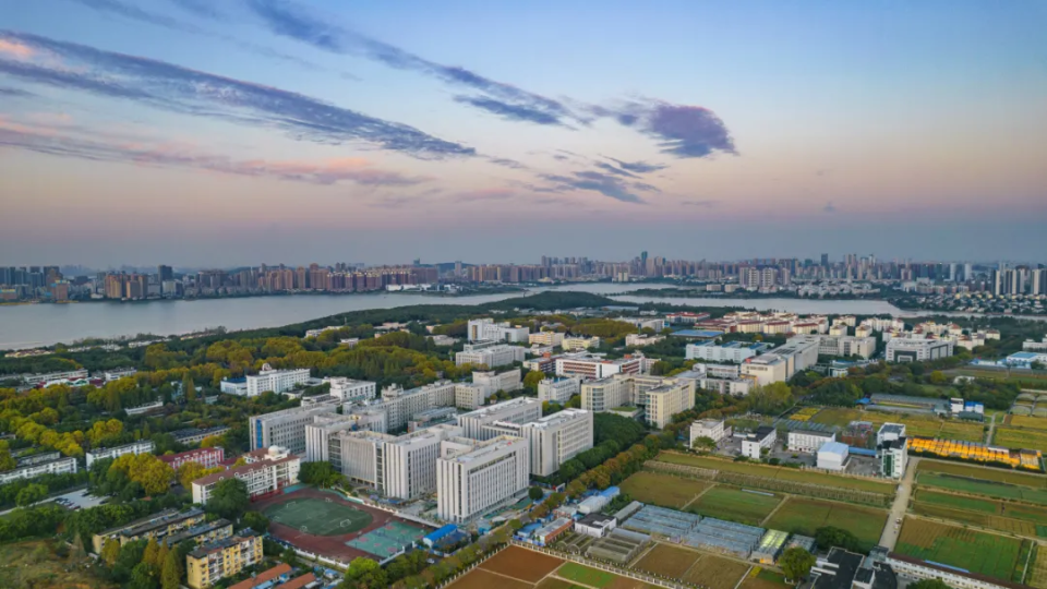 华中农业大学录取分数线2024 华中农业大学录取分数线2024